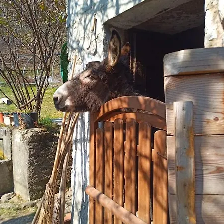 Cascina Gervasoni Alloggio per agriturismo